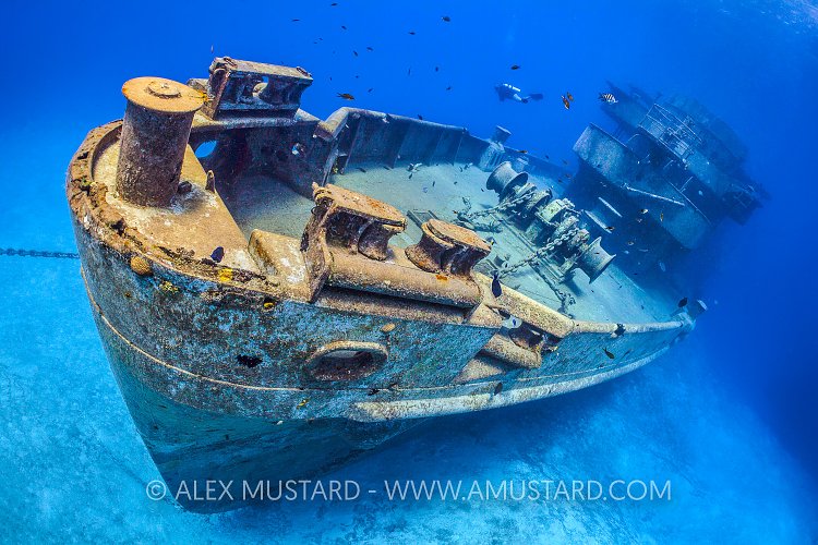 Kittiwake Bow. Cayman Islands