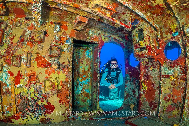 Kittiwake Bridge. Cayman Islands
