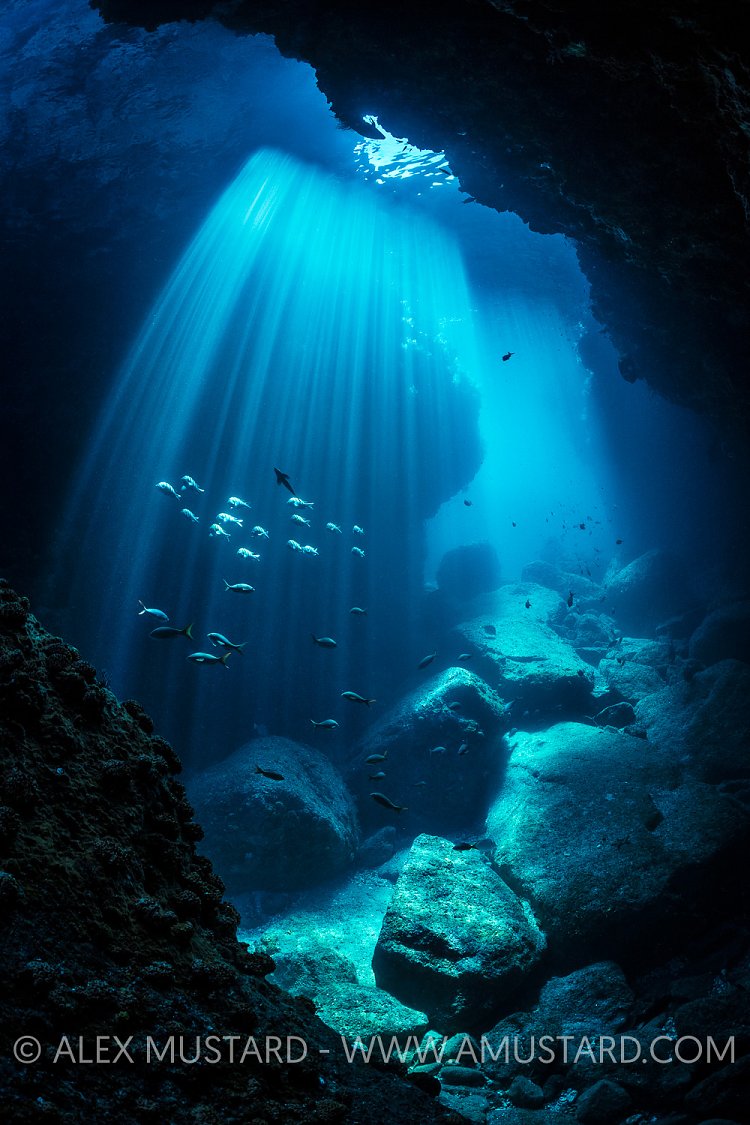 Fish In Beams. Mexico