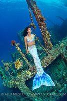 Mermaid On Shipwreck. Egypt