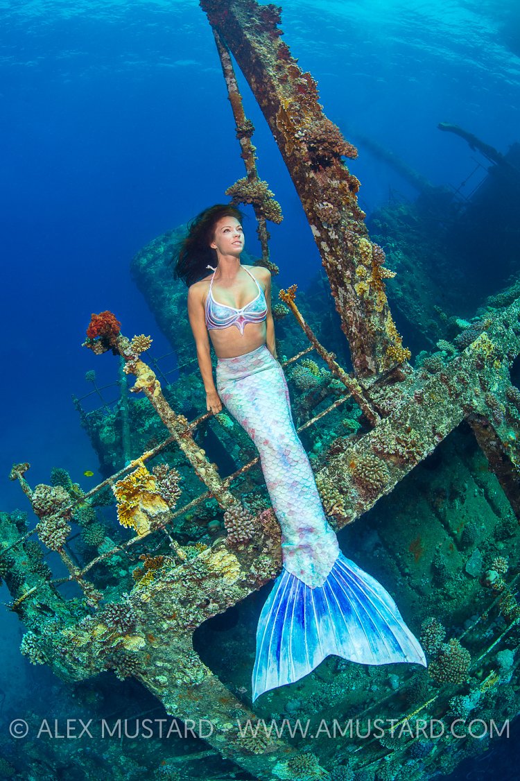 Mermaid On Shipwreck. Egypt