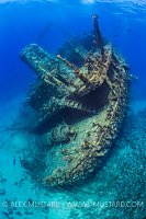 Giannis D Stern. Egypt