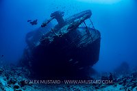 Thistlegorm Stern. Egypt