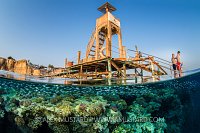 Preparing To Snorkel. Egypt