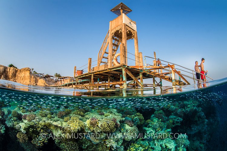 Preparing To Snorkel. Egypt