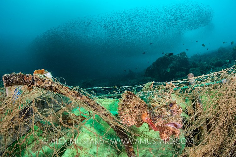 Ghost Fishing. Indonesia