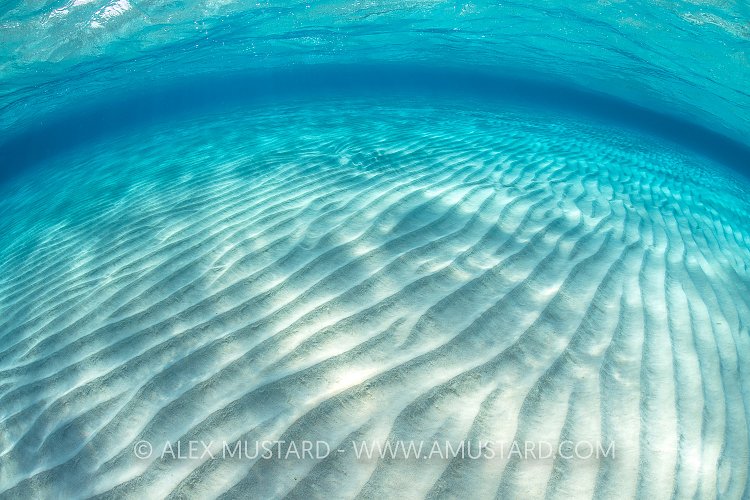 Sand Ripples. Cayman Islands