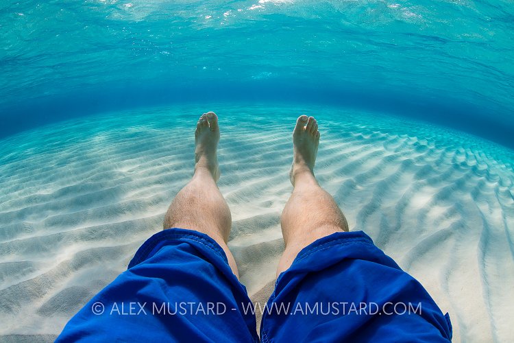 Relaxing In Clear, Shallow Water. Cayman Islands