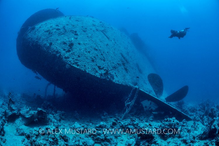 Thistlegorm Stern. Egypt
