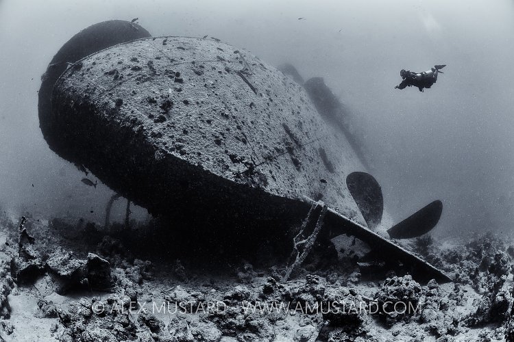 Thistlegorm Stern. Egypt
