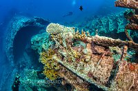 Kimon M Wreck. Egypt