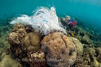 Plastic Pollution On Coral Reef. Indonesia