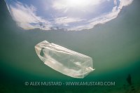 Plastic Bag Pollution. Indonesia