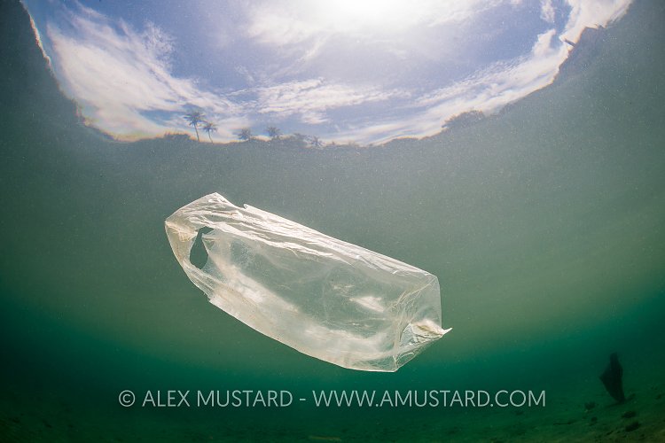 Plastic Bag Pollution. Indonesia