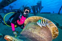 Sergeant Major On The Kittiwake. Cayman Islands