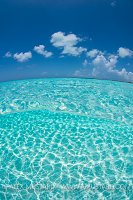Shallow Sandy Seabed. Bahamas