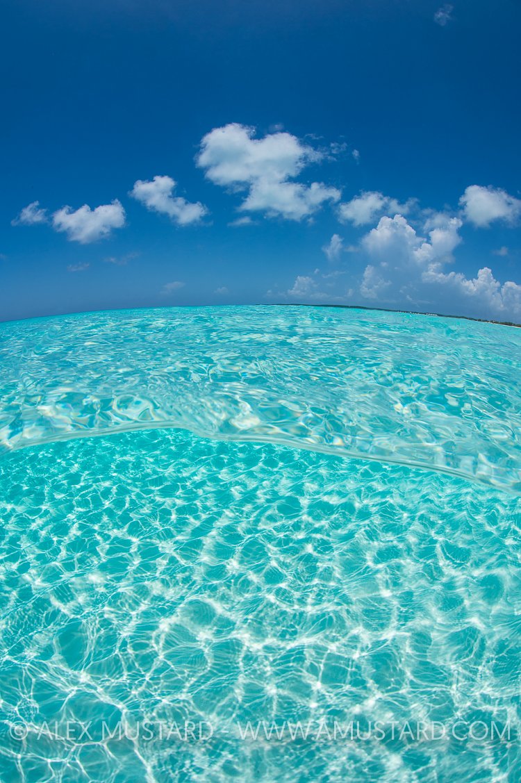Shallow Sandy Seabed. Bahamas