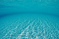 Shallow Sandy Seabed. Bahamas