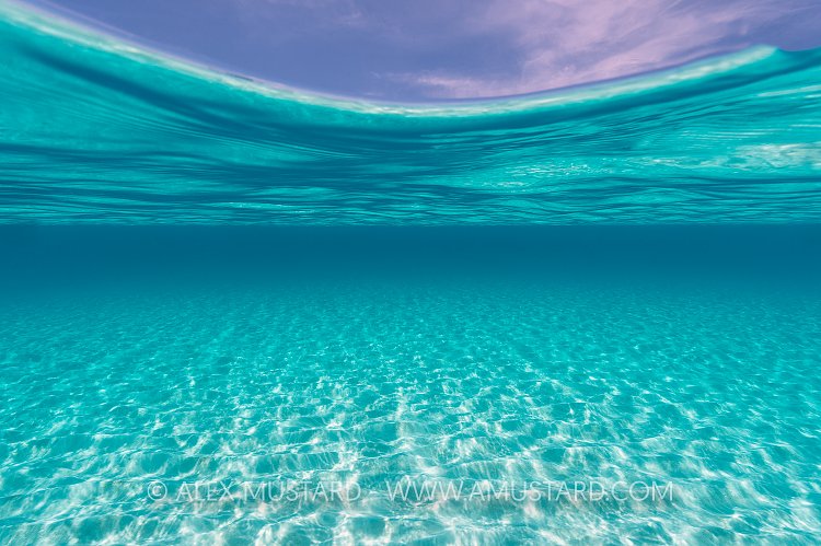 Shallow Seabed. Bahamas