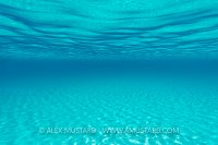 Shallow Seabed. Bahamas