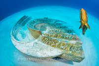 Columbus Memorial. Bahamas
