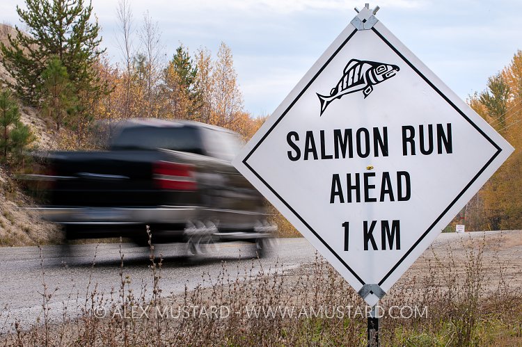 Salmon Road Sign. Canada