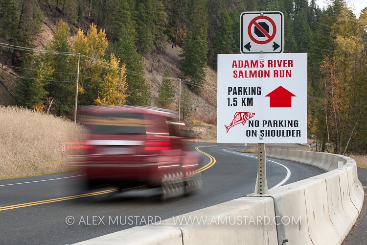 Salmon Road Sign. Canada