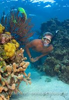 Snorkeller On Shallow Coral Reef. Cayman Islands