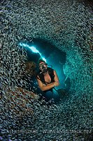 Diver swims through a school of silversides in a coral cavern. G