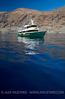 Solmar V at Guadalupe Island, Mexico
