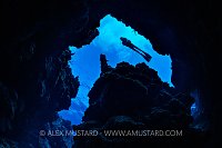 Diver Silhouetted Over Reef. Cayman Islands