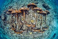 Train Wreck. Cayman Islands