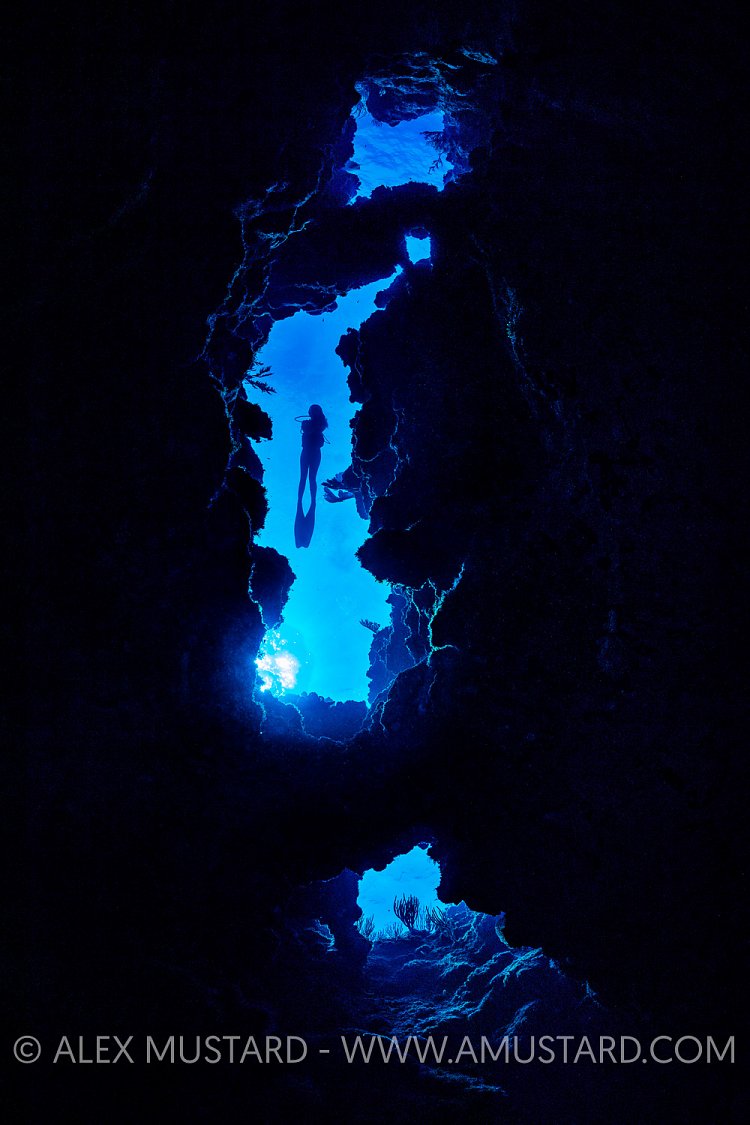 Diver Silhouetted Over Reef. Cayman Islands