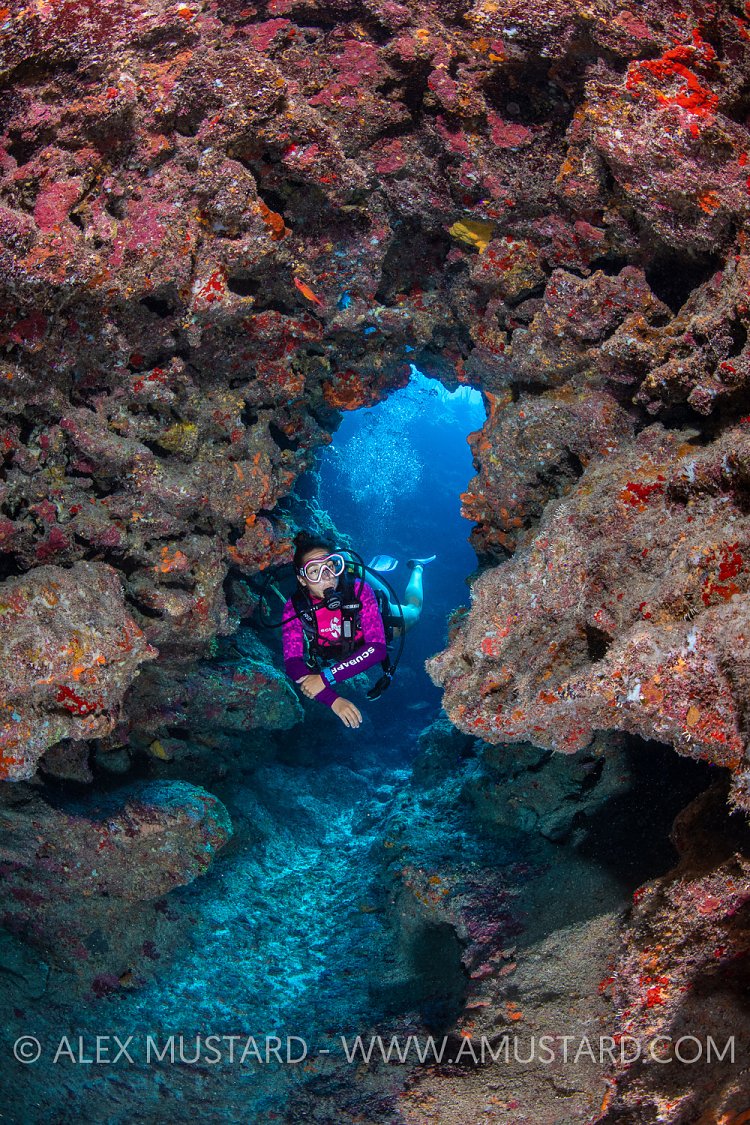 Diving In Caverns. Cayman Islands