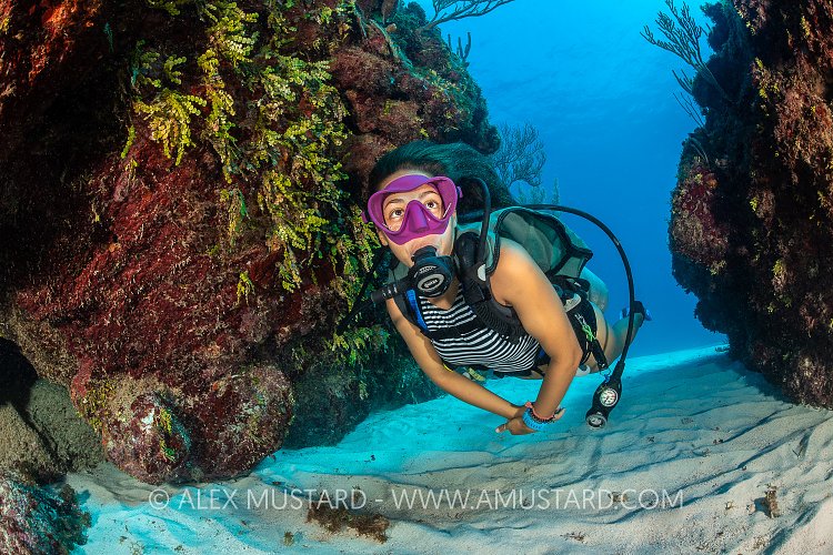 Diver In Canyon. Cayman Islands