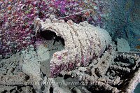 Buckets. Thistlegorm, Egypt