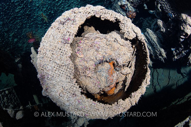 Mystery Object. Thistlegorm, Egypt