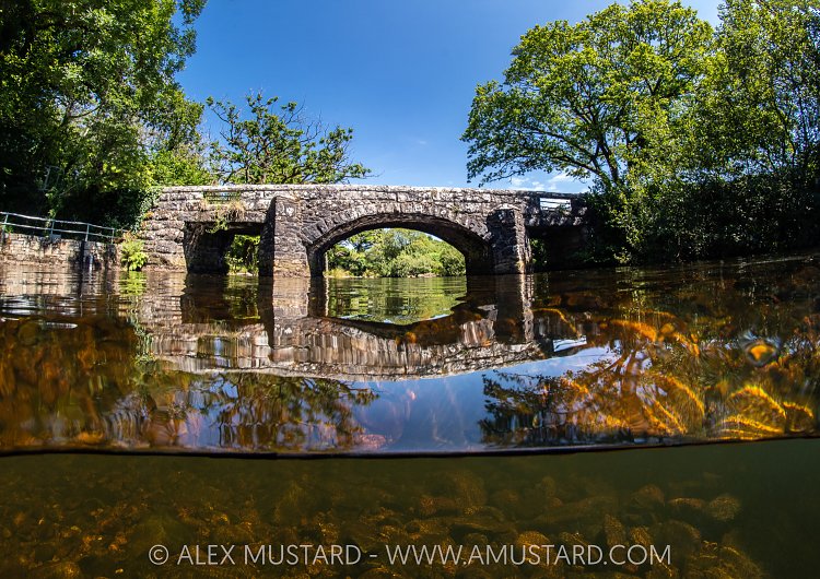 Dartmoor Bridge, UK