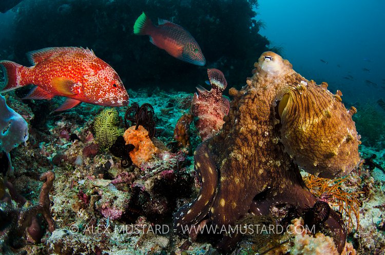 Eating With Friends. Komodo, Indonesia