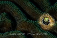 Secretary In The Spotlight. Cayman Islands