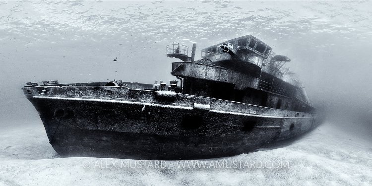 Kittiwate Panorama. Cayman Islands