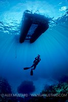 Diver Beneath Boat. Cayman Islands