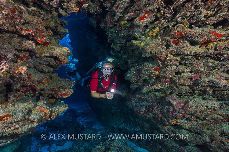 Exploring the Reef. Cayman Islands