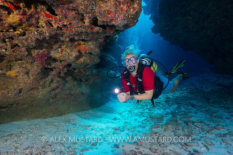 Diver In Coral Caverns. Cayman Islands