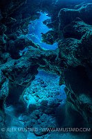 Coral Cavern. Cayman Islands.