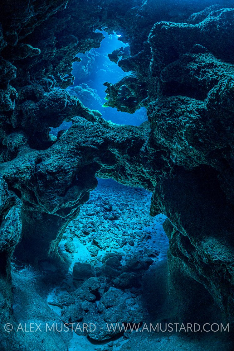 Coral Cavern. Cayman Islands.