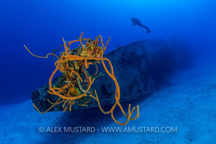 Keith Tibbetts Wreck. Cayman Islands.
