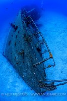 Tibbetts Bow. Cayman Islands