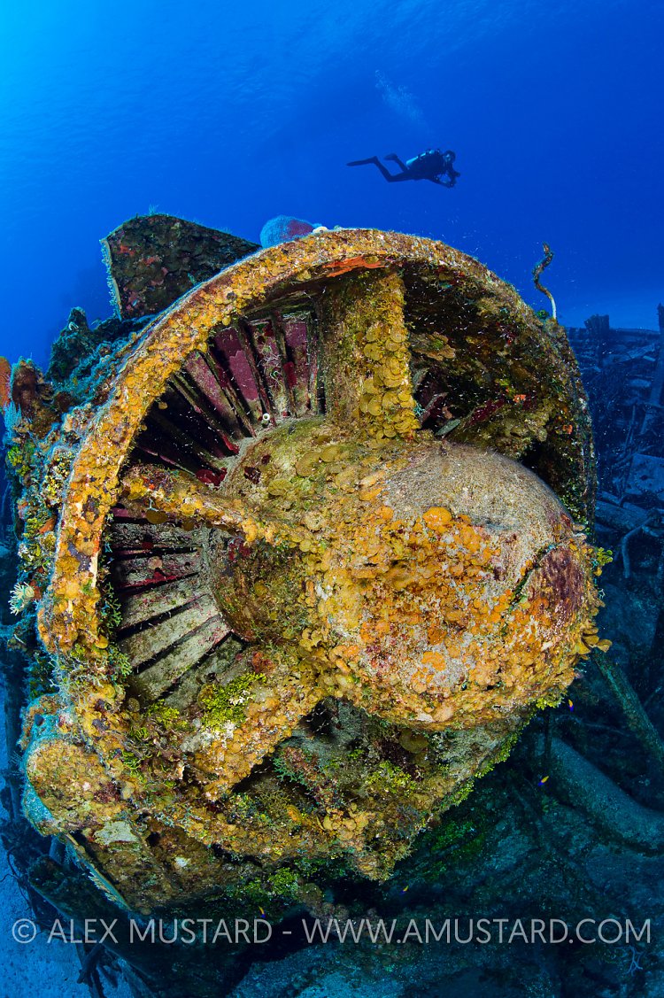 Tibbetts Engine. Cayman Islands