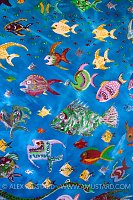 Fish. Cayman Islands